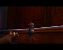 PDVD_2395