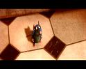 PDVD_2409
