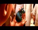PDVD_2440