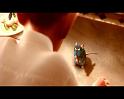 PDVD_2476