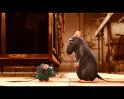 PDVD_2503