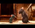 PDVD_2505