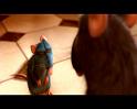 PDVD_2510