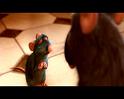 PDVD_2511