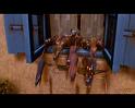 PDVD_253