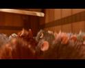 PDVD_2558