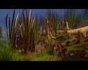 PDVD_264