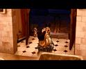 PDVD_2645