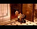 PDVD_2649