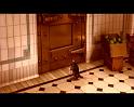 PDVD_2650