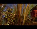 PDVD_266
