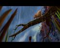 PDVD_267