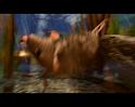 PDVD_271