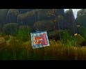 PDVD_276