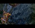 PDVD_277