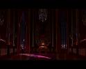 PDVD_2784