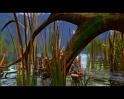 PDVD_279
