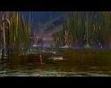 PDVD_291
