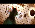 PDVD_502