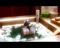 PDVD_505