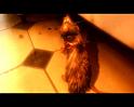 PDVD_511