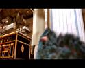 PDVD_513