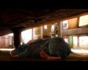 PDVD_516