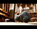 PDVD_521