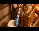 PDVD_525