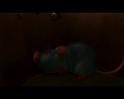 PDVD_529