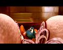 PDVD_535