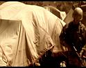 PDVD_290
