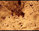 PDVD_618