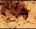 PDVD_621