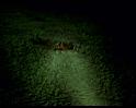 PDVD_696