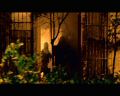 PDVD_1069.jpg