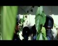 PDVD_1550.jpg