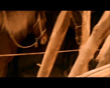 PDVD_1126.jpg