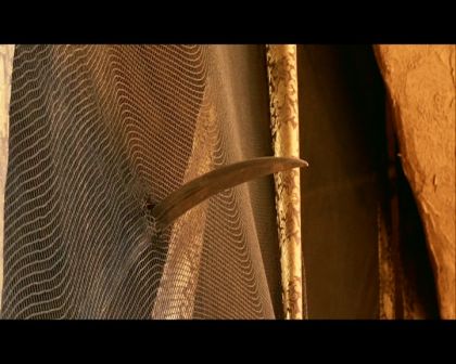 PDVD_1193.jpg