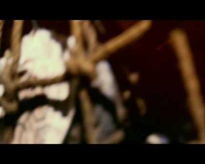 PDVD_1212.jpg