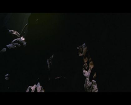 PDVD_1250.jpg