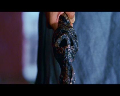 PDVD_1290.jpg