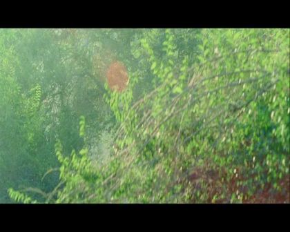 PDVD_136.jpg