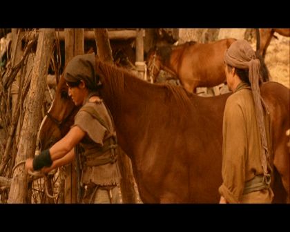 PDVD_255.jpg