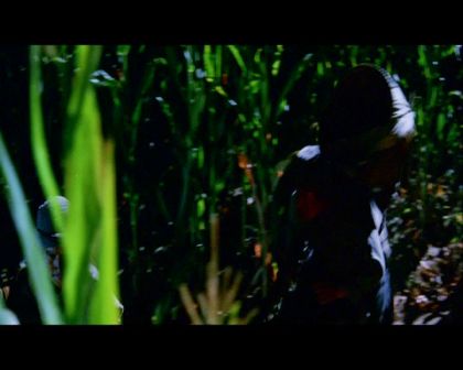 PDVD_627.jpg