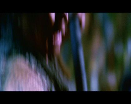 PDVD_645.jpg
