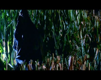 PDVD_656.jpg