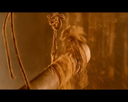 PDVD_800.jpg