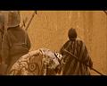 PDVD_1249