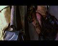 PDVD_1339